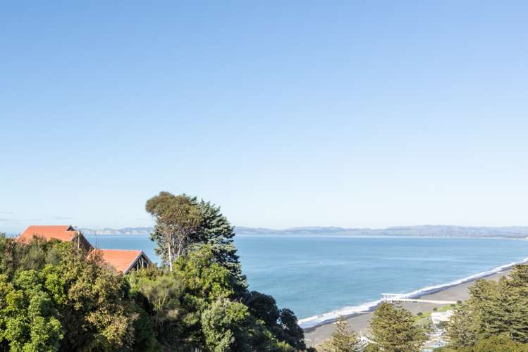 135 Priestley Terrace Bluff Hill_19