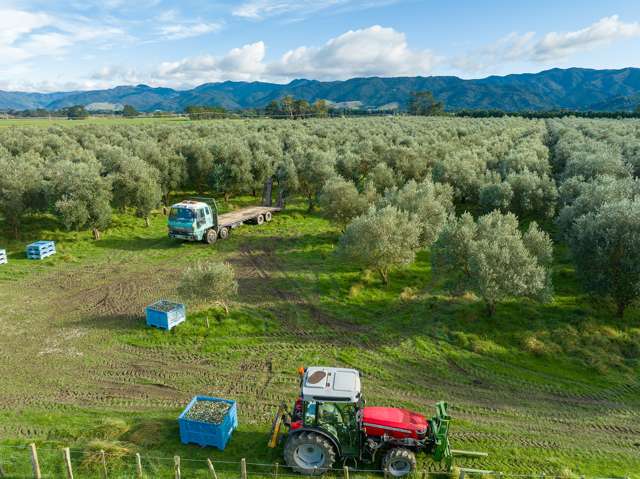 Lot 2/224 State Highway 53 Featherston_1