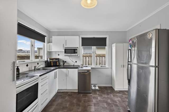 237 Huatoki Street Upper Vogeltown_3