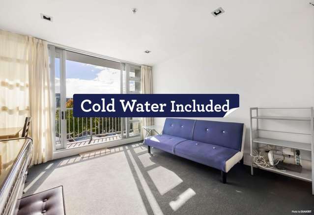 Furnished Two Bedroom Apartment in CBD