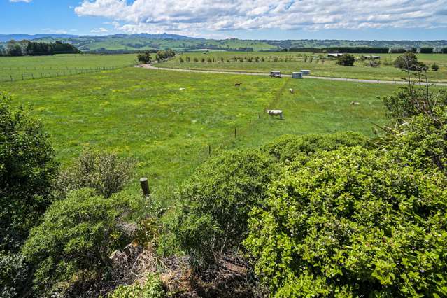 1483 Wakarara Road Ongaonga_3