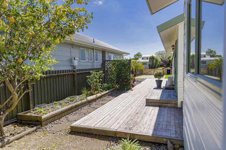 12a Meadow Drive Whitianga_21