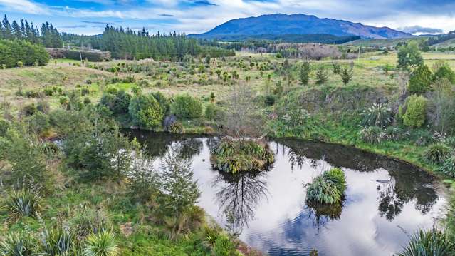 49B Dalbeg Road Balcairn_4