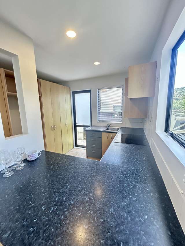 60 Georgia Terrace Albany_4