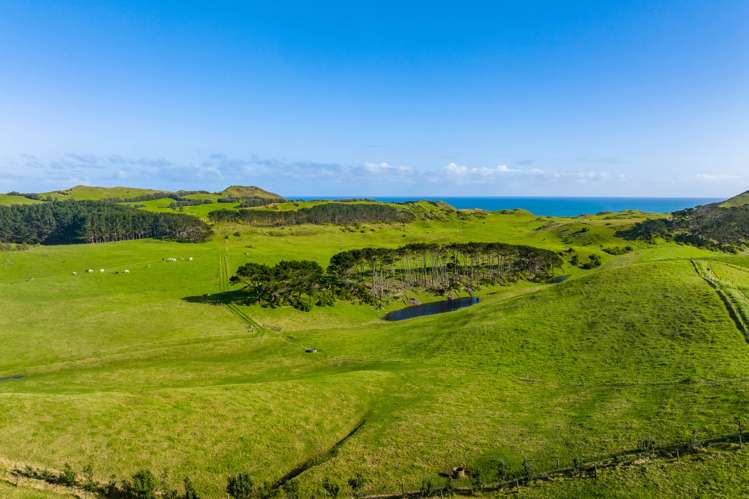 386 Rehutai Road Dargaville Surrounds_8