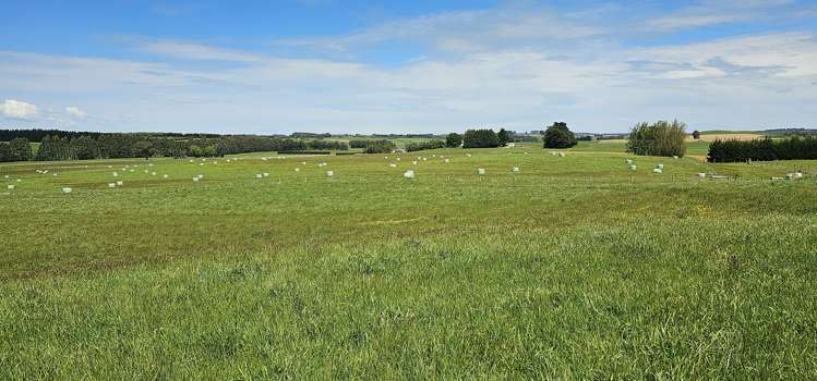 Parker Road Gore Surrounds_7