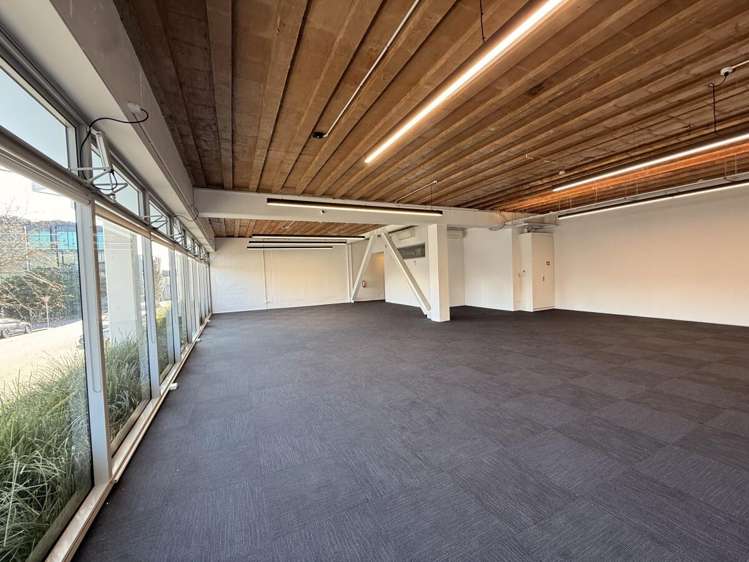 17 Maidstone Place Grey Lynn_2