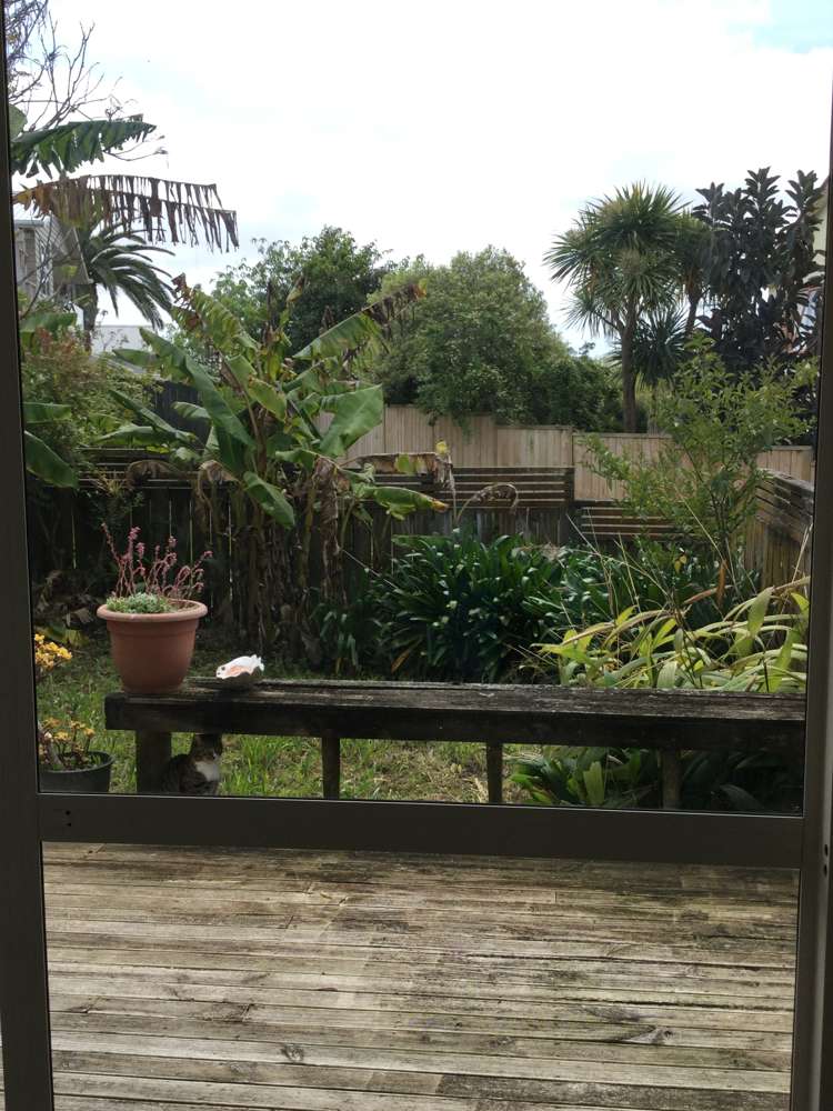 15/32 Blockhouse Bay Road Avondale_5