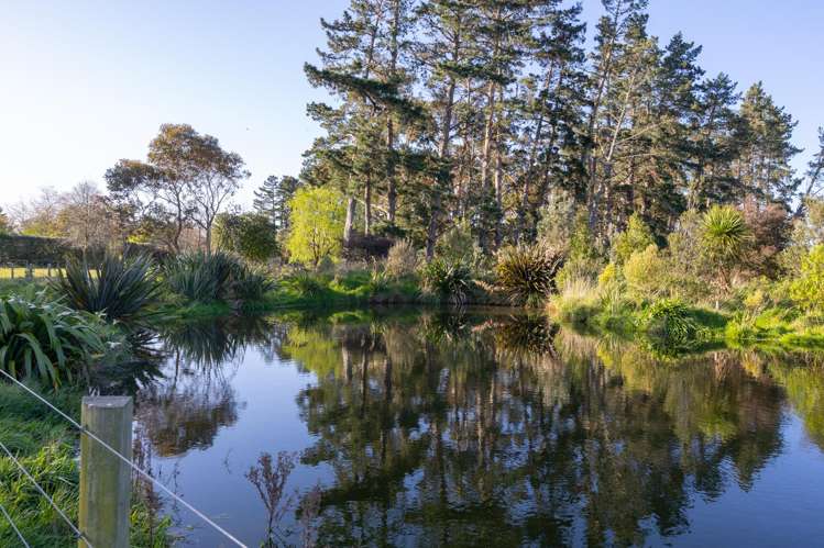 98 Taonui Road Feilding_29