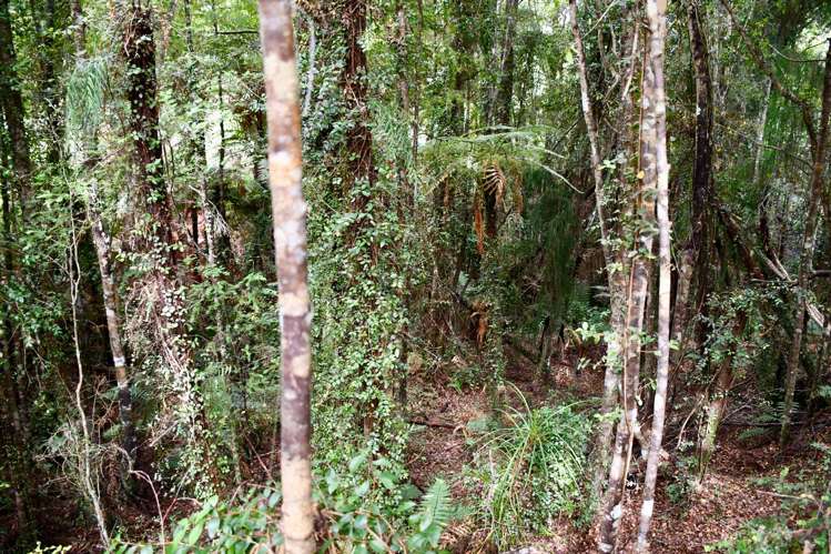 70 Sunset Heights Road Karamea_25
