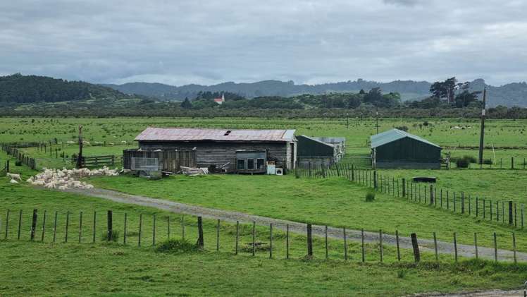 Matawera Road Kohukohu_18