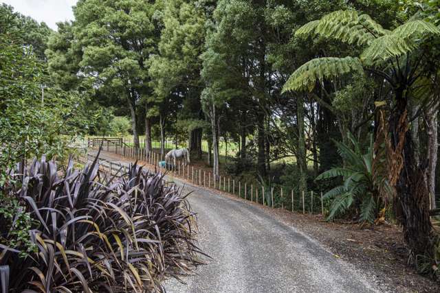 71 Rushbrook Road Ruatangata_1