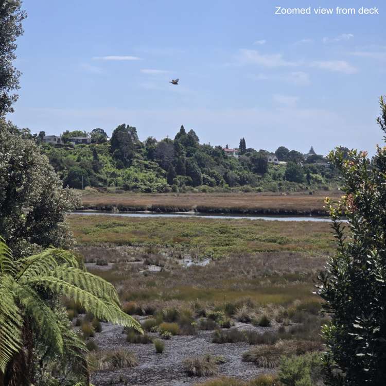 186 Windermere Drive Poike_10