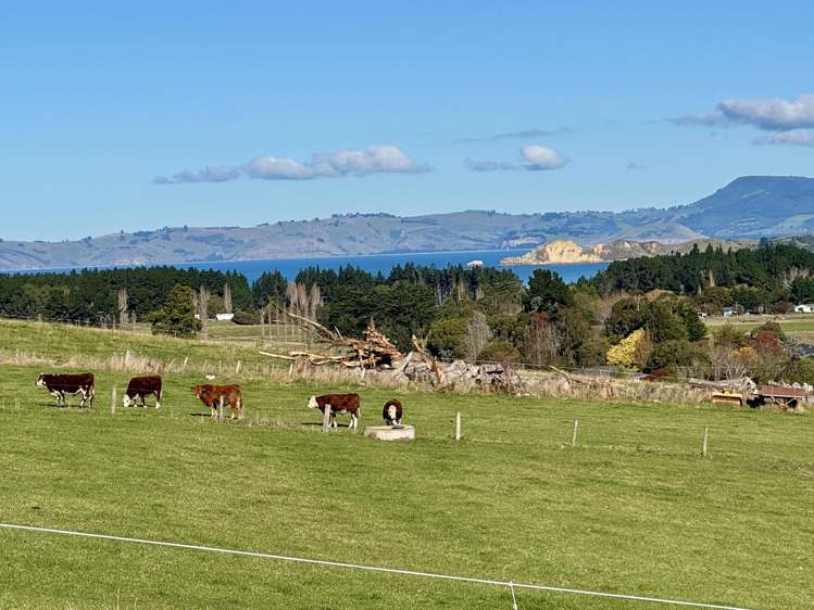 74B Edinburgh Street Waikouaiti_10