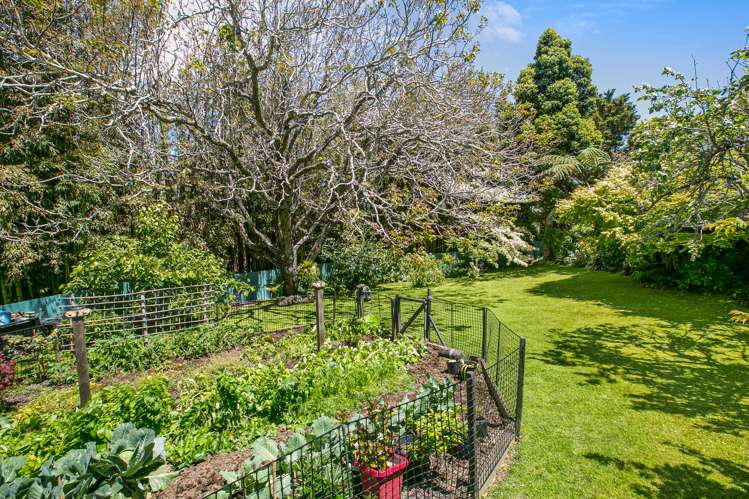 22 Victoria Road New Plymouth Central_21