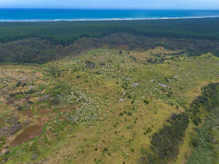 Lot 2/DP170782 Wilson Road South Head_11