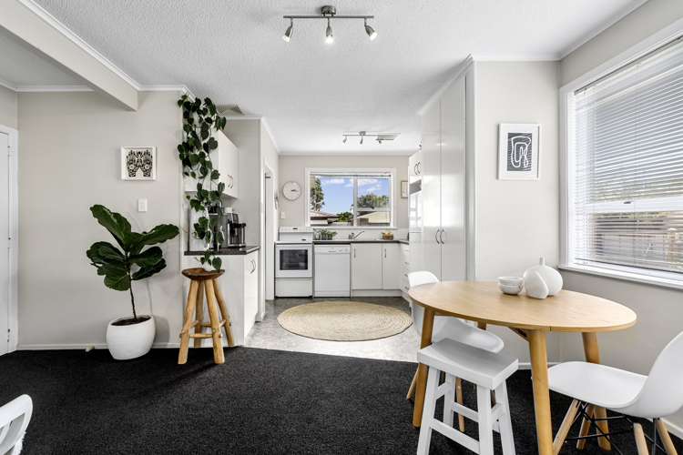 14 Lodge Avenue Mount Maunganui_13