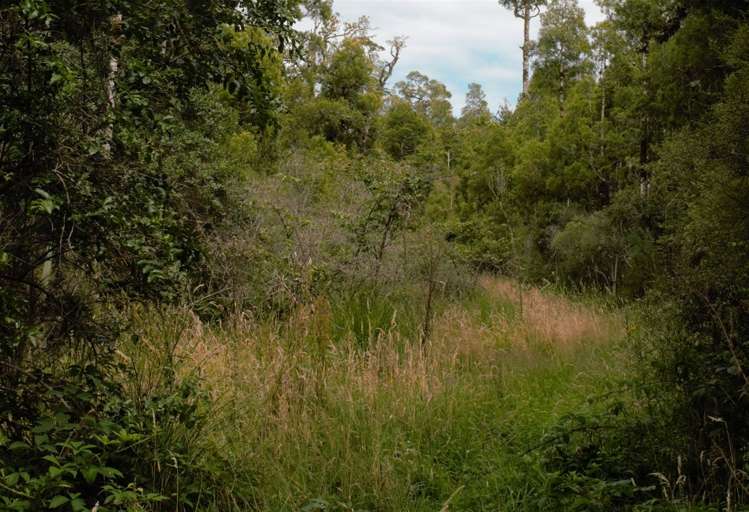 1883 Kumara-Inchbonnie Road Inchbonnie_14