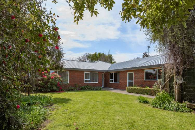 6b Battys Road Springlands_25