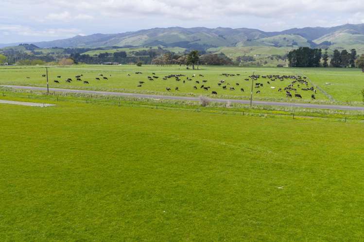 643 a and b Pohangina Road Ashhurst_15