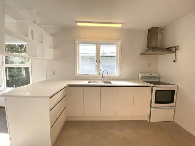 16 Mulgan St 1733_4