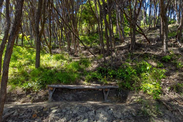 Curious Cove Curious Cove_16