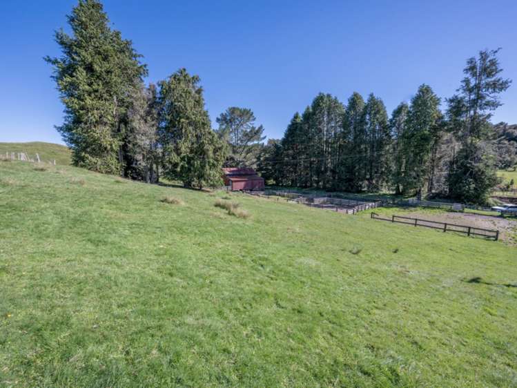 Kaitieke Road Owhango_13