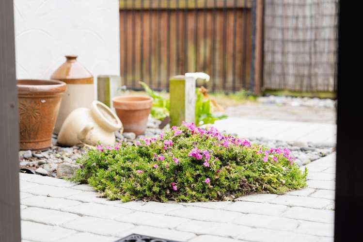 29E Bathgate Street South Dunedin_19