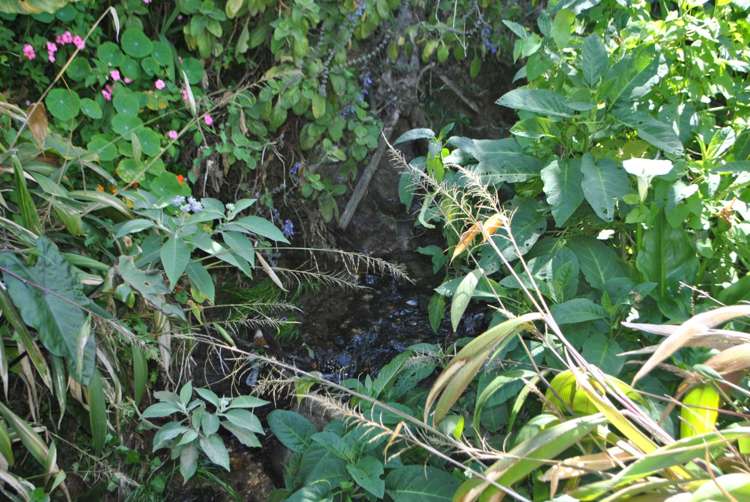 27 Ranfurly Place Kamo_10