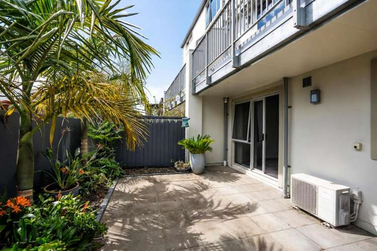 6B Clifton Road Hamilton Central_17
