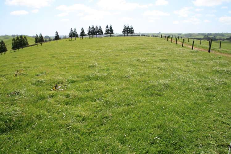 828 Hursthouse Road Inglewood_4