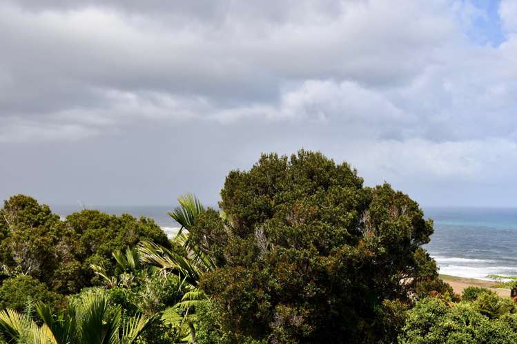 904 Karamea Kohaihai Road Karamea_47