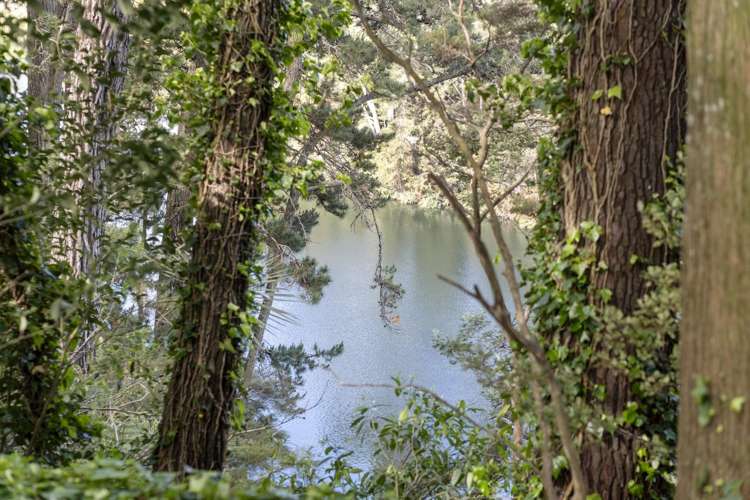 2948 Arapuni Road Pukeatua_35