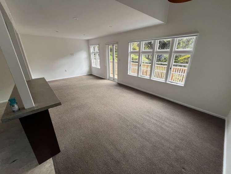 Whatipu Road Huia_16