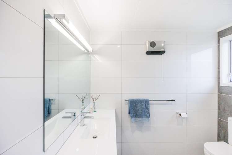 644 Featherston Street Roslyn_23