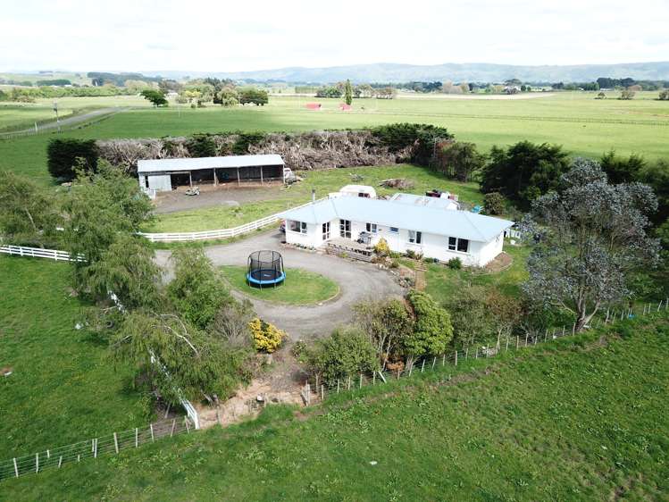 155 Bluff Road Pahiatua_22