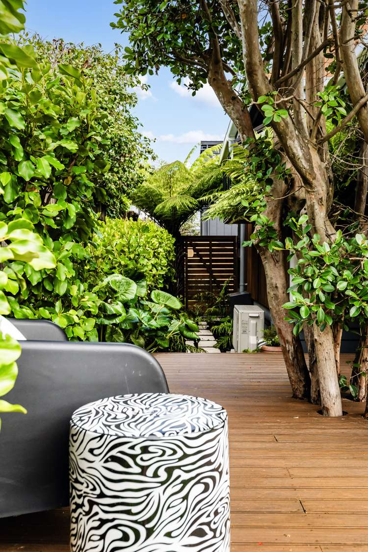 33a Armadale Road Remuera_8