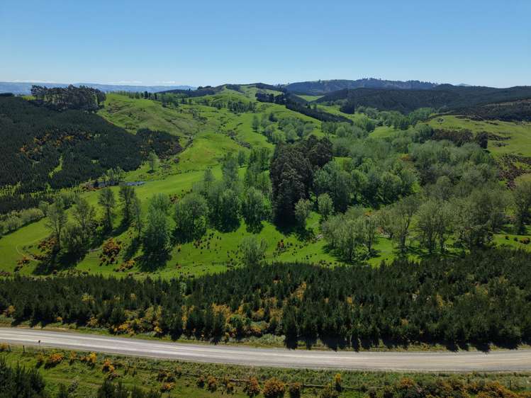 66 Otokia-Kuri Bush Road West Henley_33