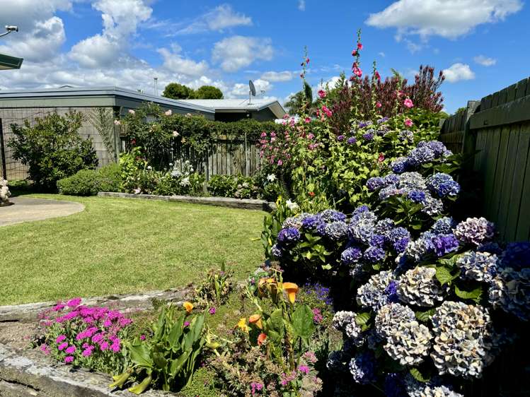 244b King Street Whakatane_11