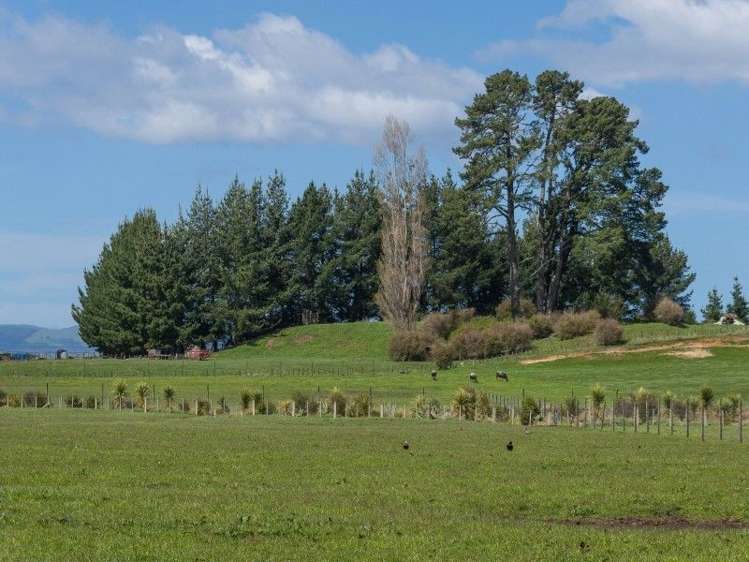 31 Ngongotaha Road Ngongotaha_6