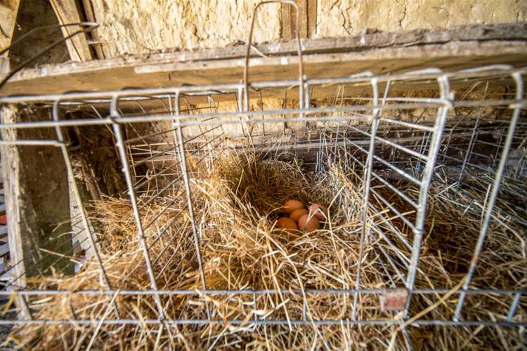 99 Rose Road Upper Moutere_36