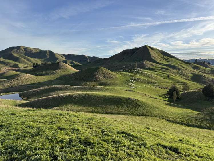 169 Owhakura Road Taihape_0