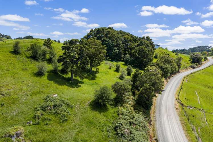 278 Griffin Road Maungaturoto_20