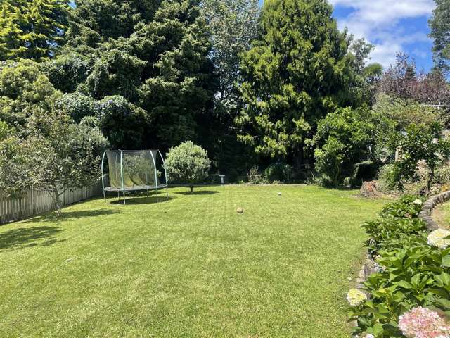 35 Griffiths Street Putaruru_3