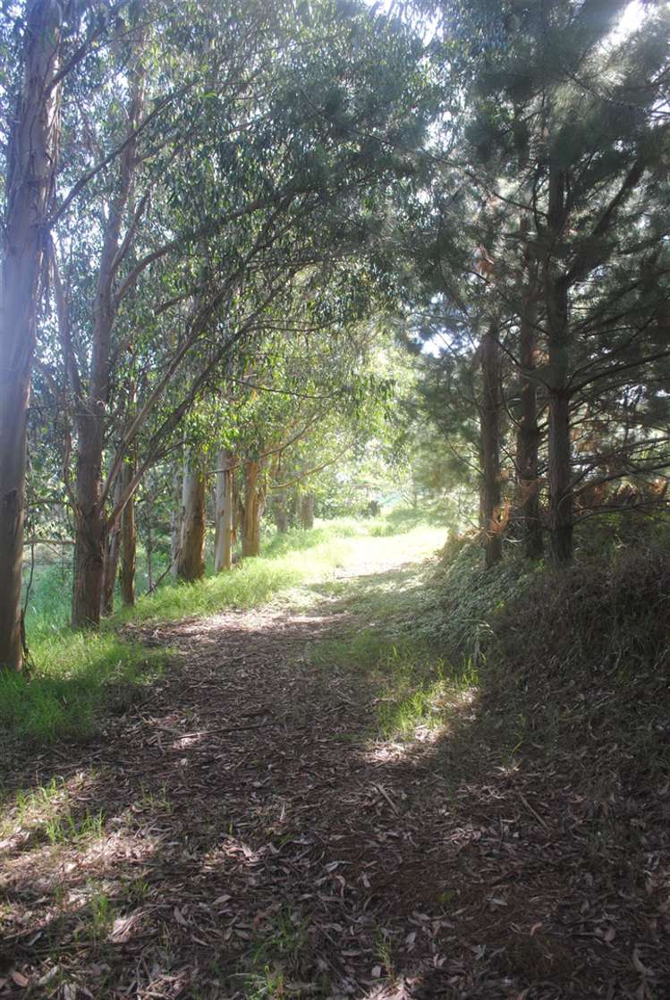 751b Runciman Road Runciman_9