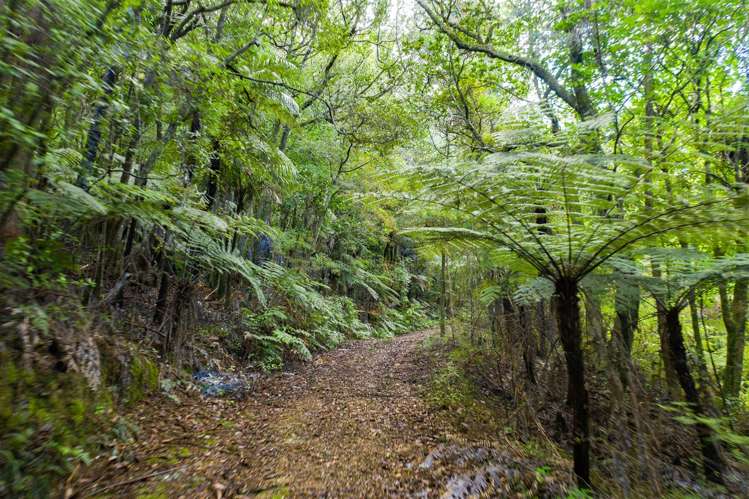 1458 Ngunguru Road Ngunguru_48