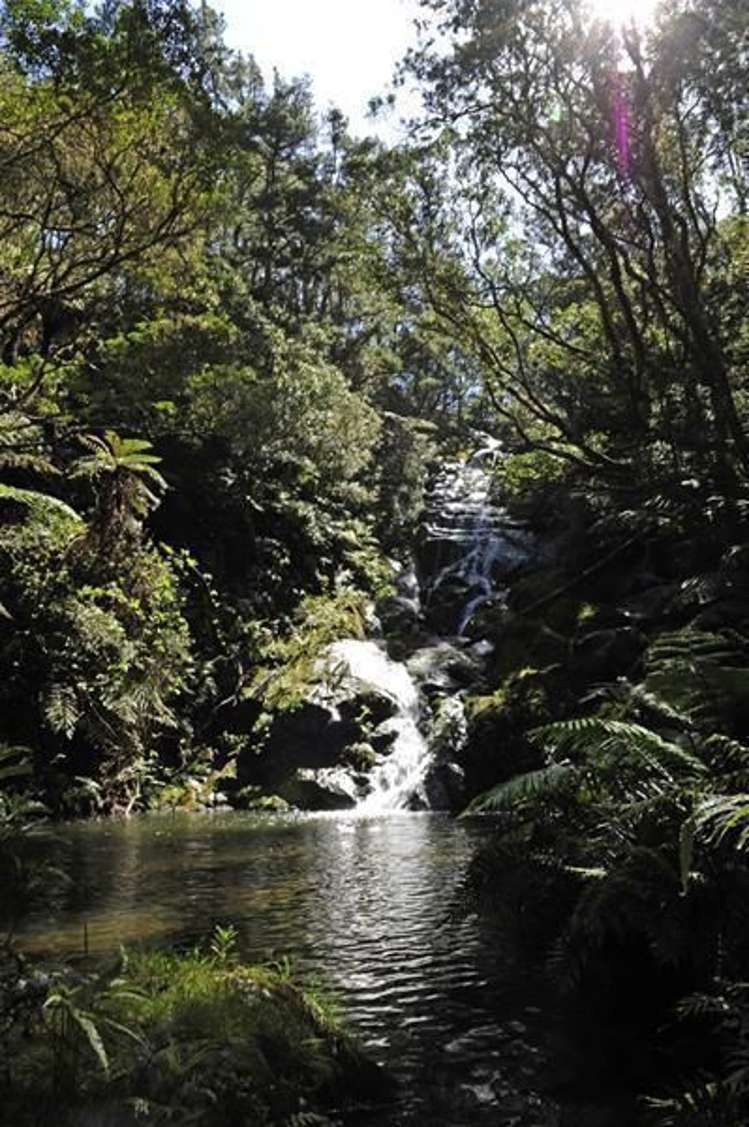 853 Purangi Road Cooks Beach_7