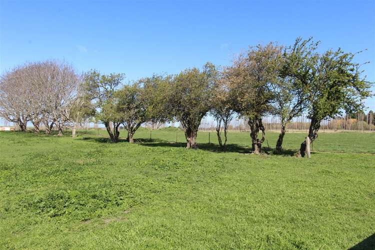 297 Oamaru-Alma Road Alma_20