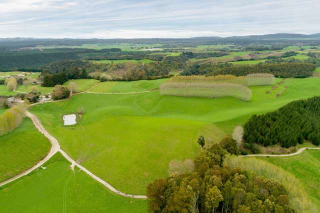 936 Pongakawa Bush Road Pongakawa_3