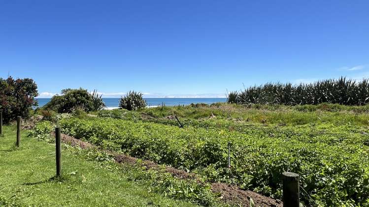 37 Nikau Road, State Highway 67 Hector_34